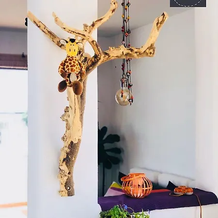 Casa Banana *